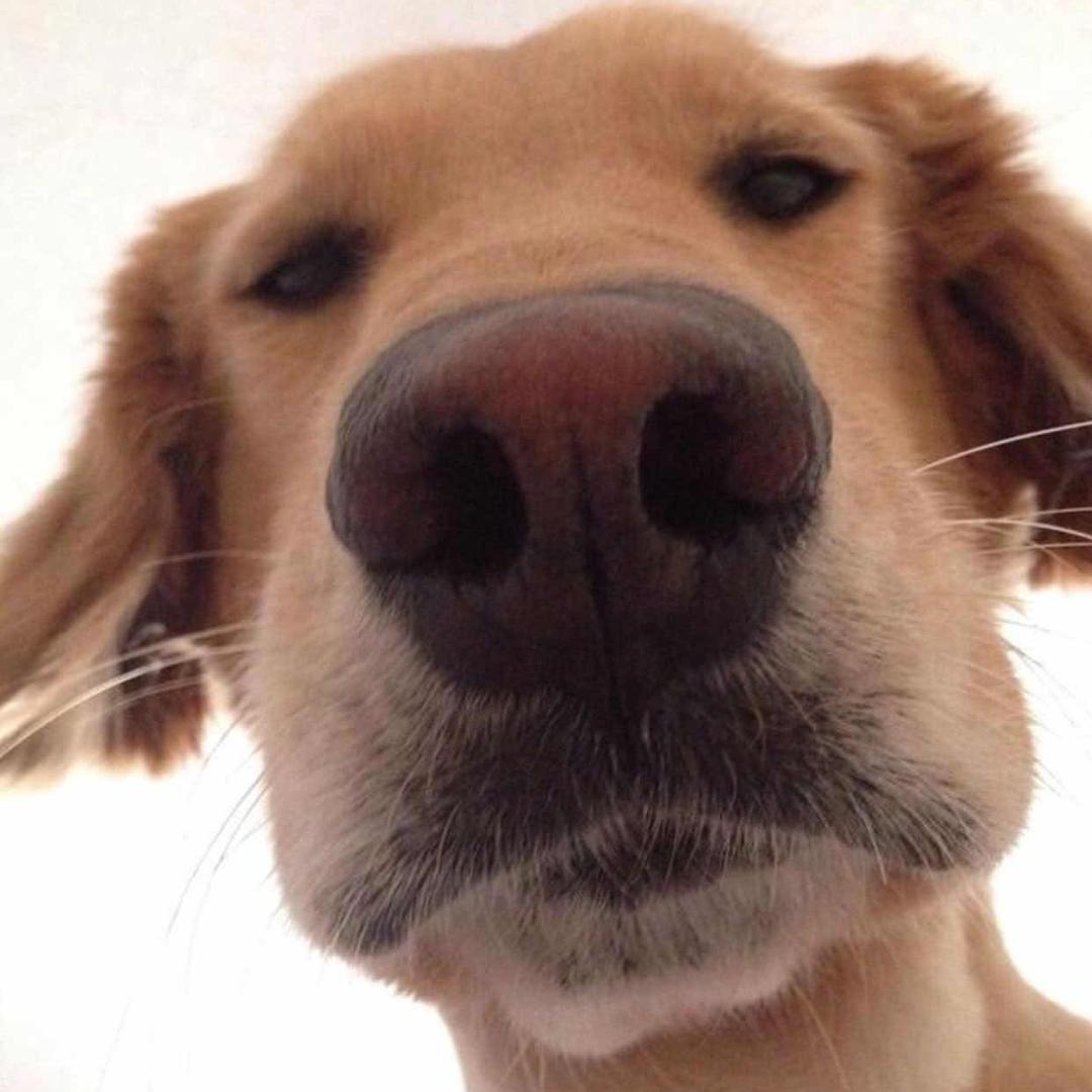 狂踹瘸子好腿