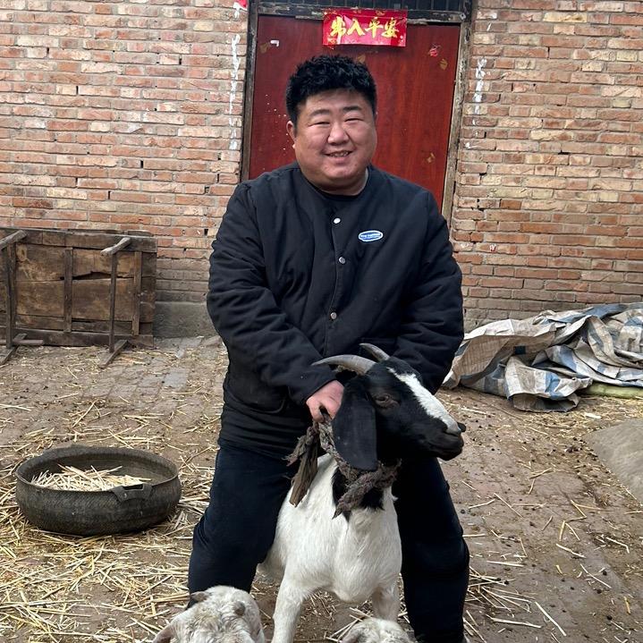 胖伟美食