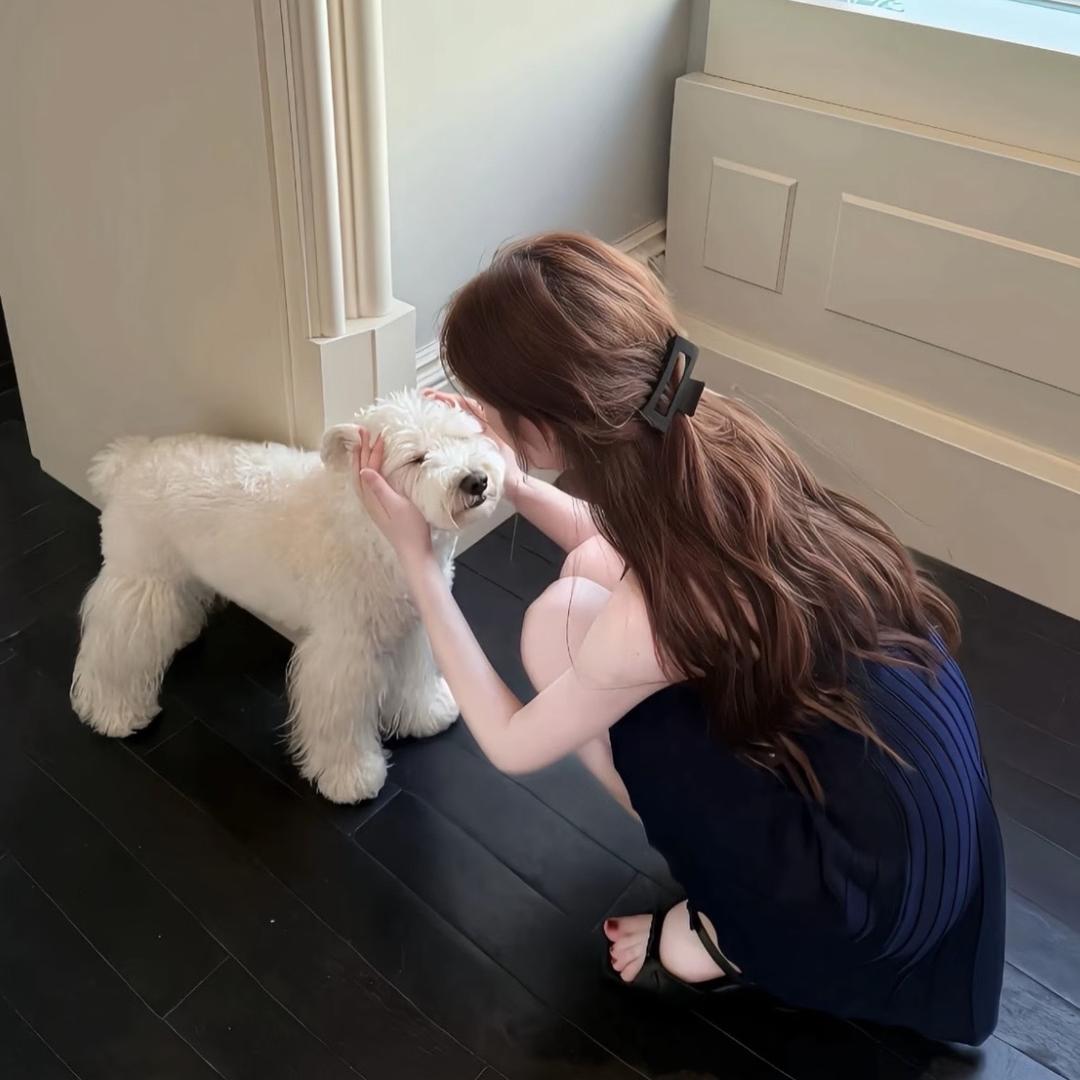 多多ㅤㅤㅤㅤㅤㅤ