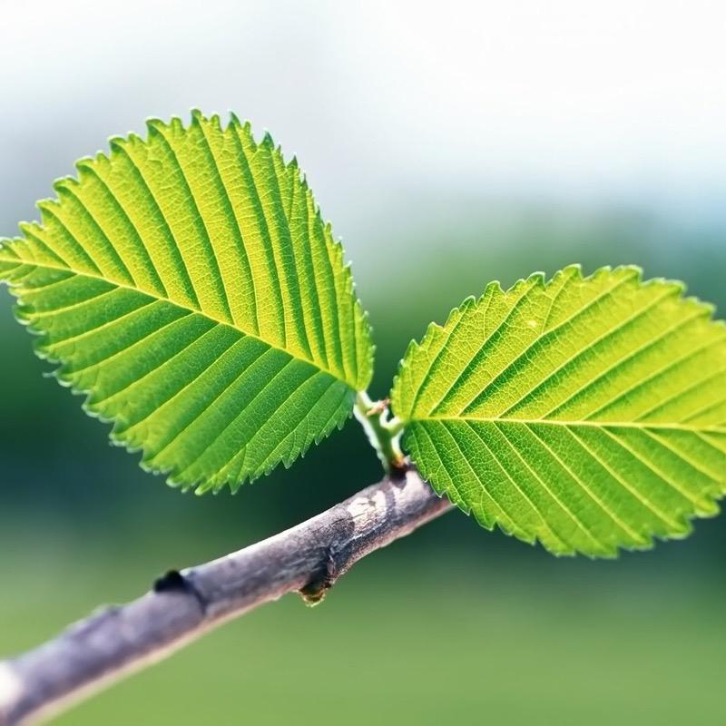 反正想不到好名字