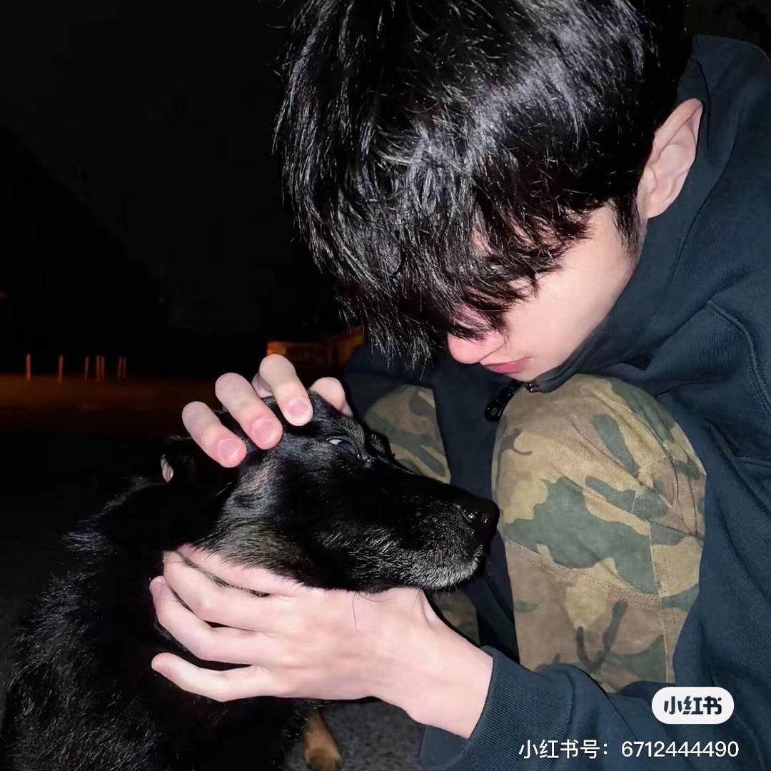 明月光