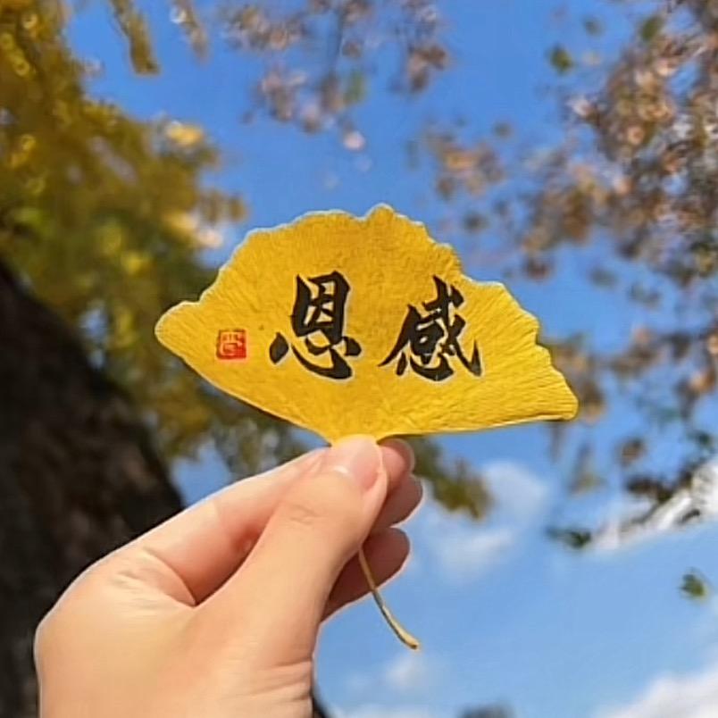 私域～粉圈收打粉