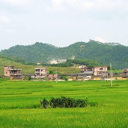 农村嫂子城里妹