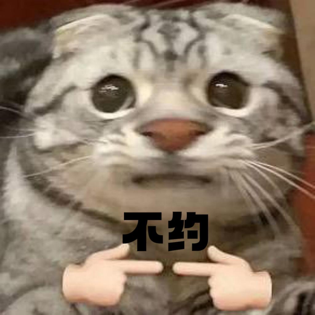 傻蛋🥚