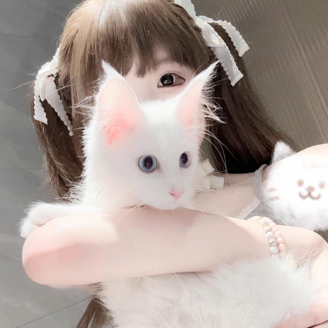 小蛋糕