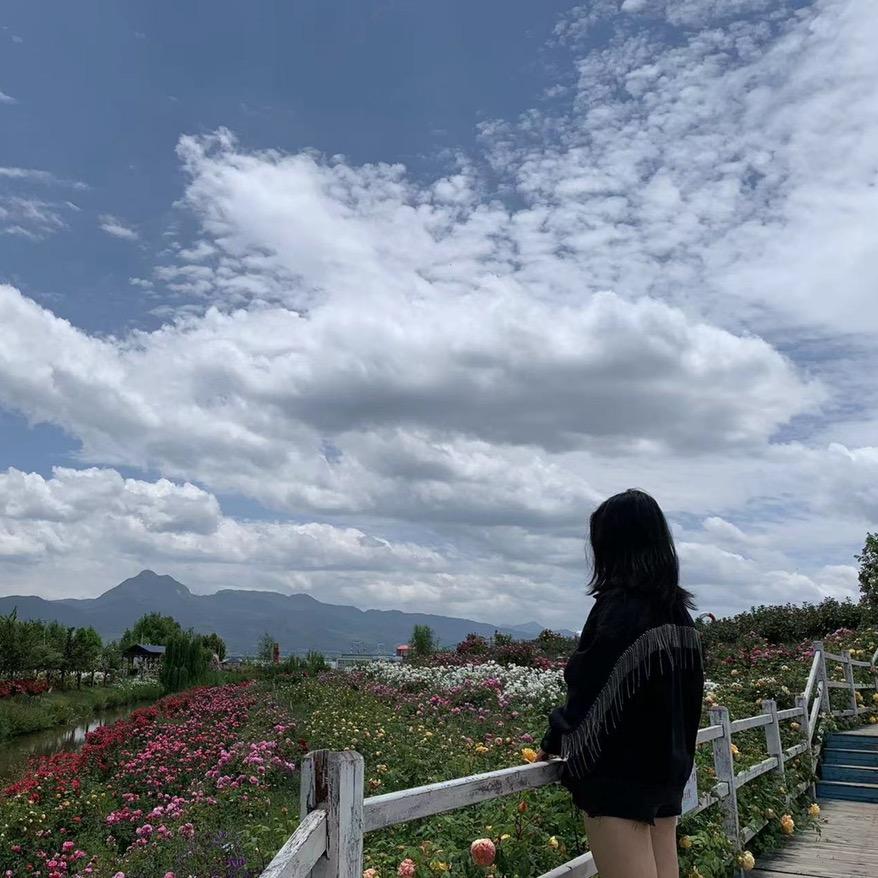 一袋小饼干