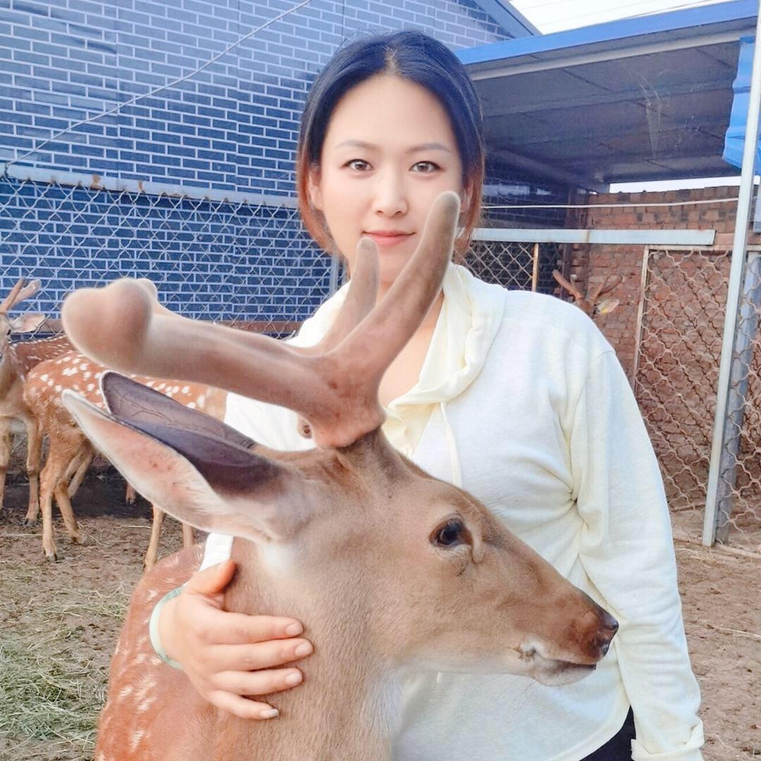 泗县小鹿园