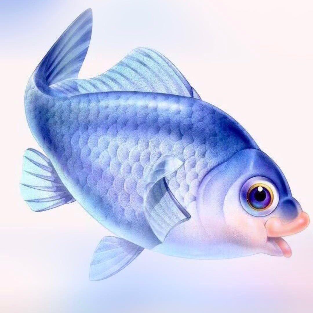 鱼悦江湖