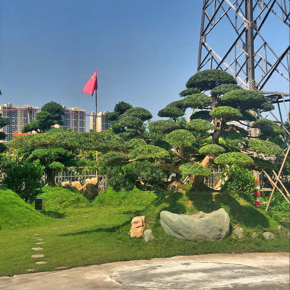 俊丰松园