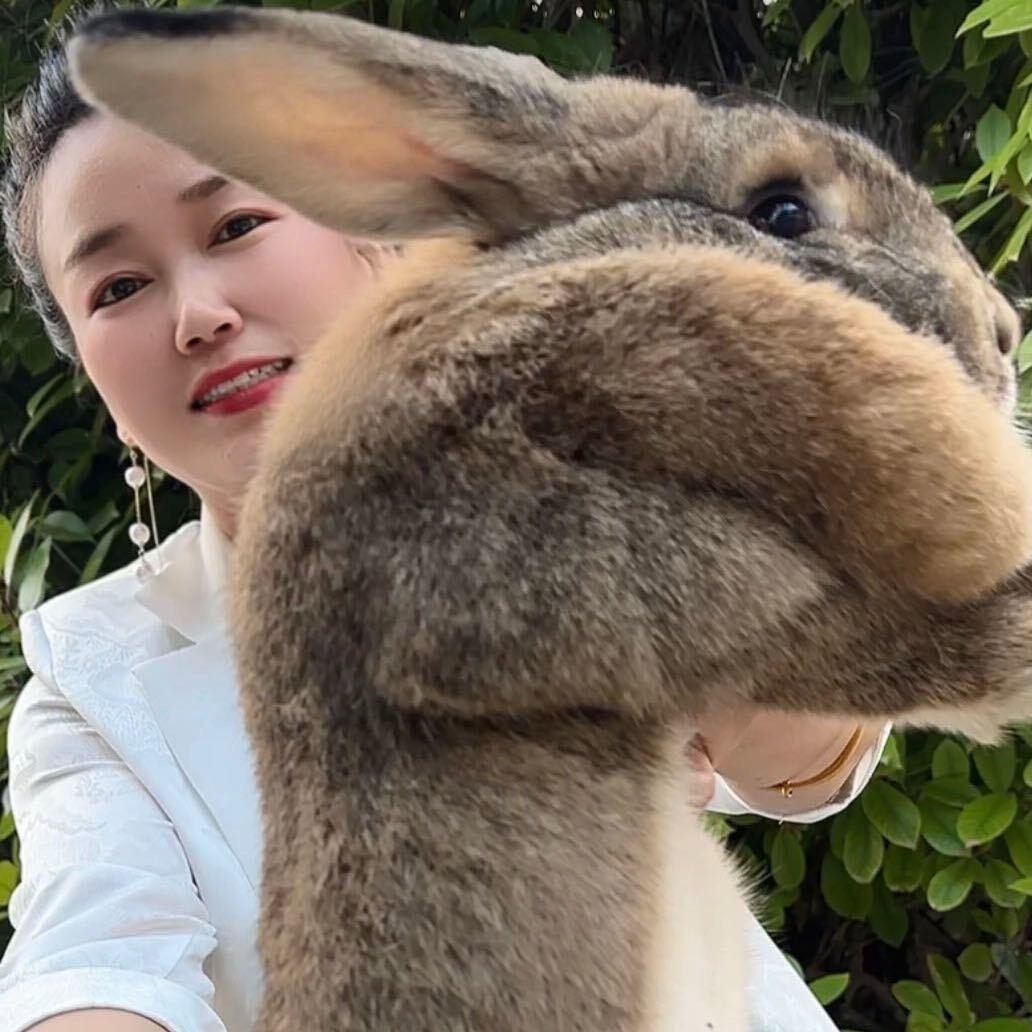 兔二姐