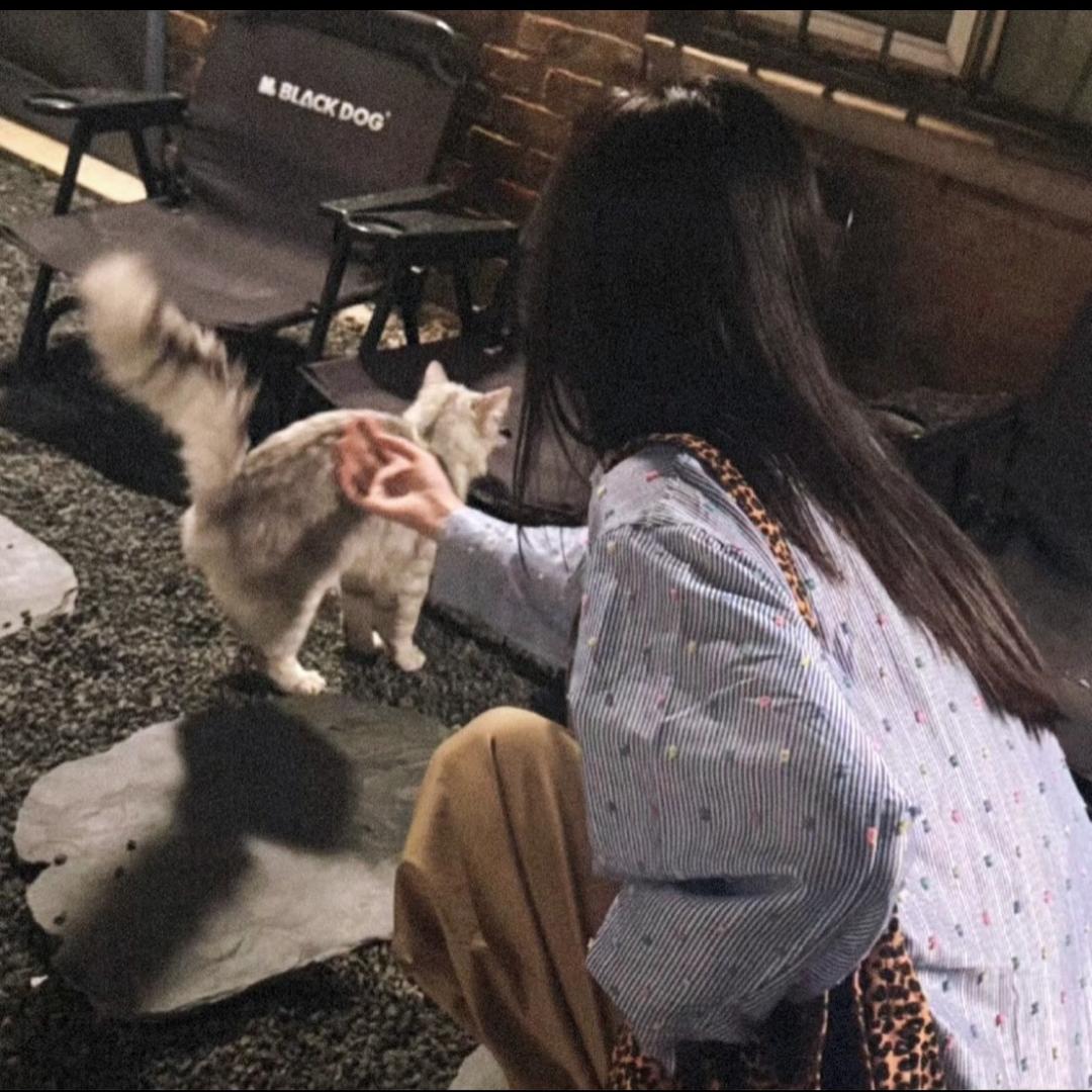 不吃芒果.