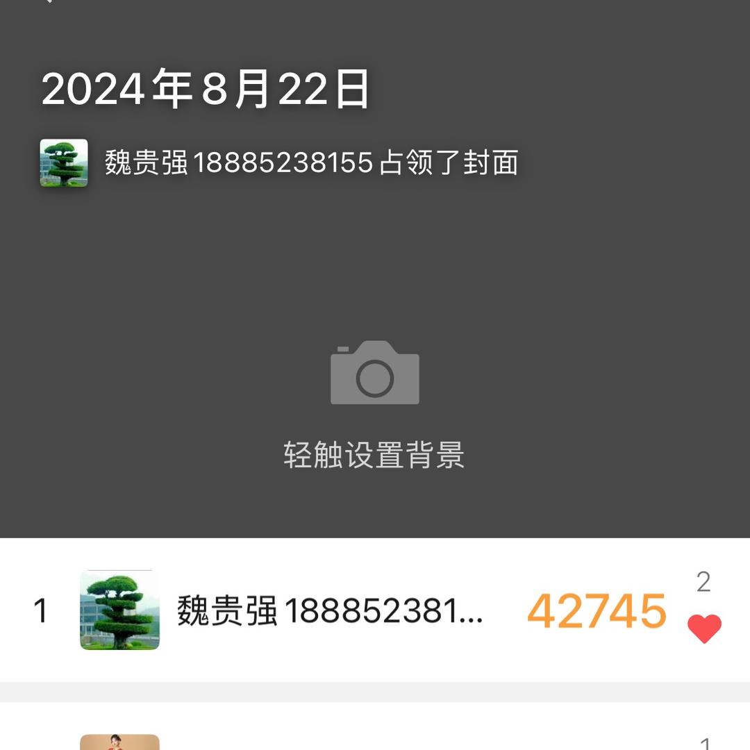 魏贵强