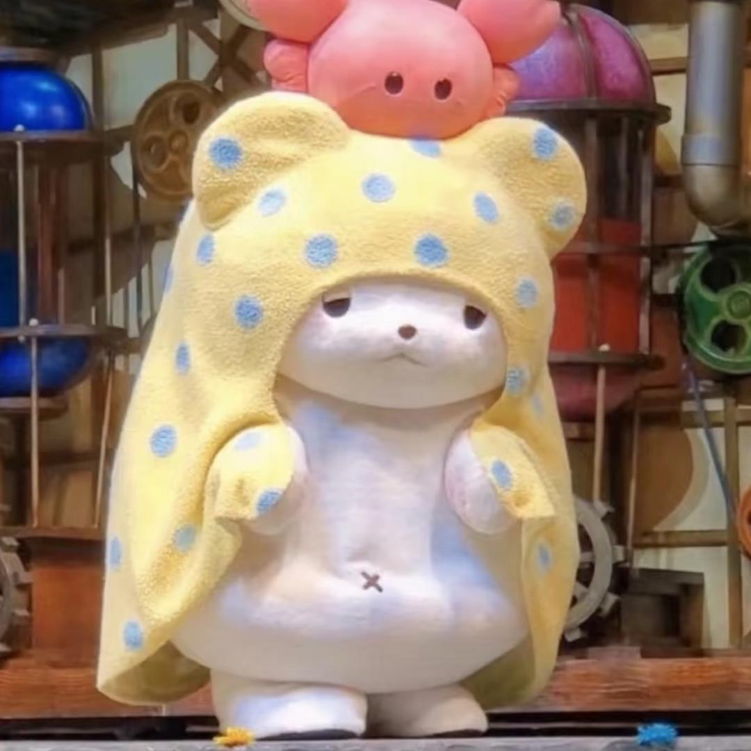 梦萍🐠