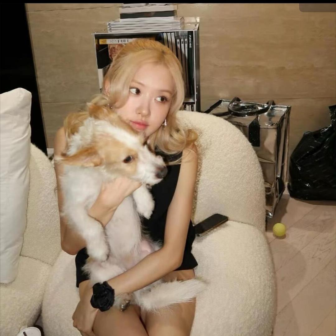 𝗹𝗹𝗹𝘂𝘀𝗶𝗼𝗻𝘀