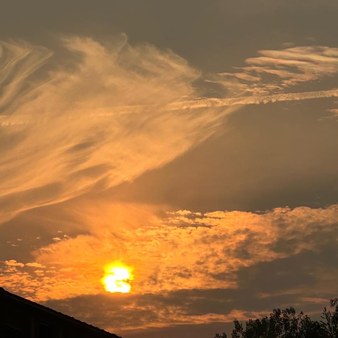 金智汇（冠县）网络科技有限公司