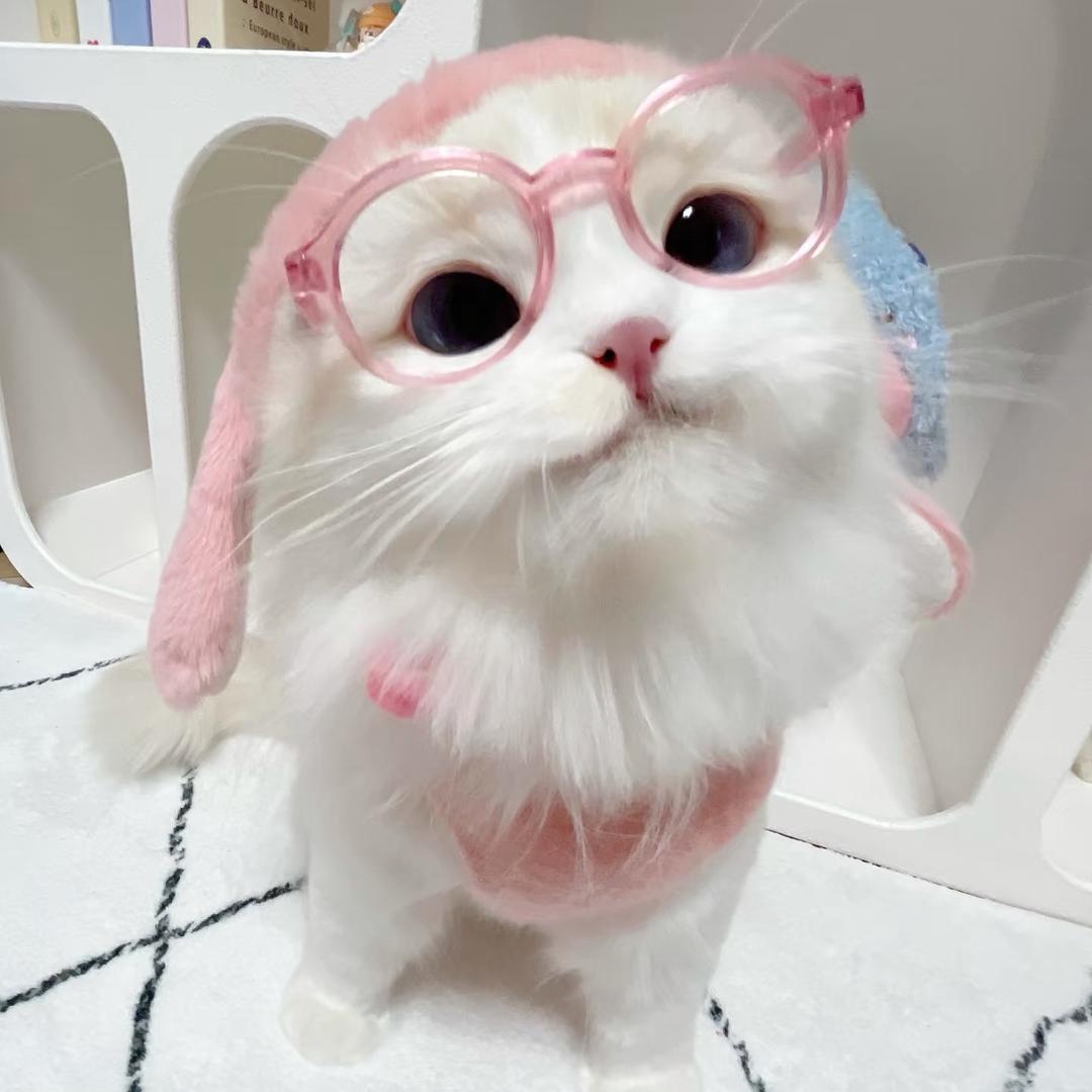 薄荷姐姐