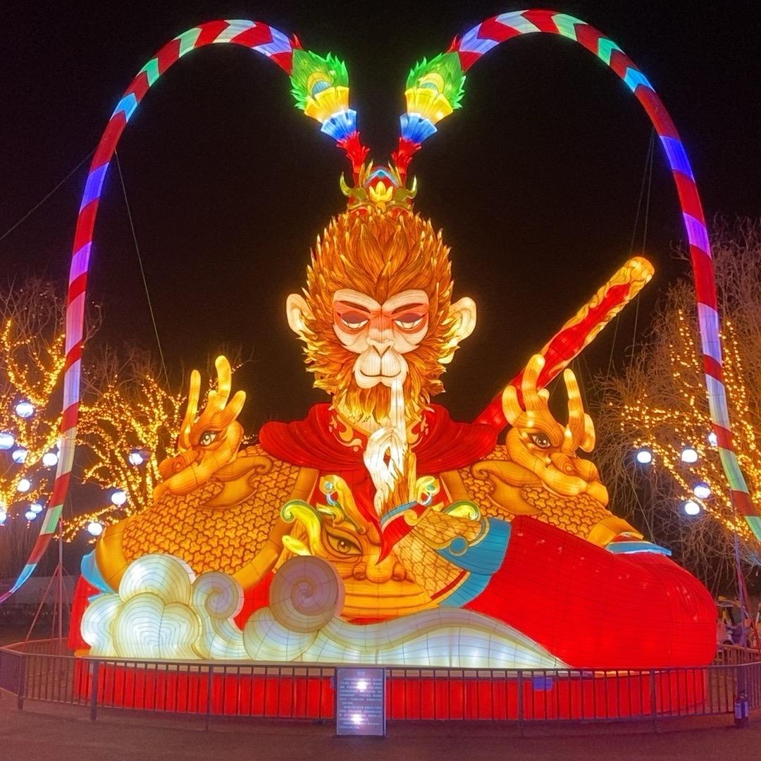 💫 我就是个俗人