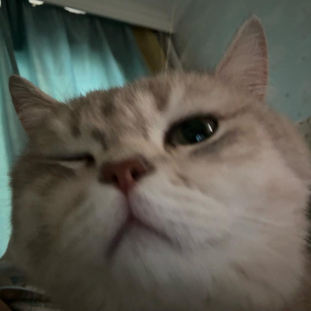 大王
