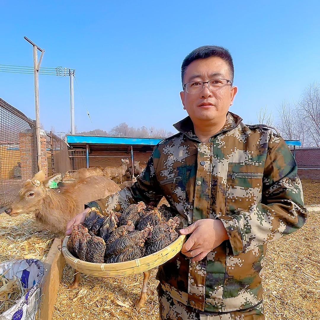 九州食仆女仕滋补