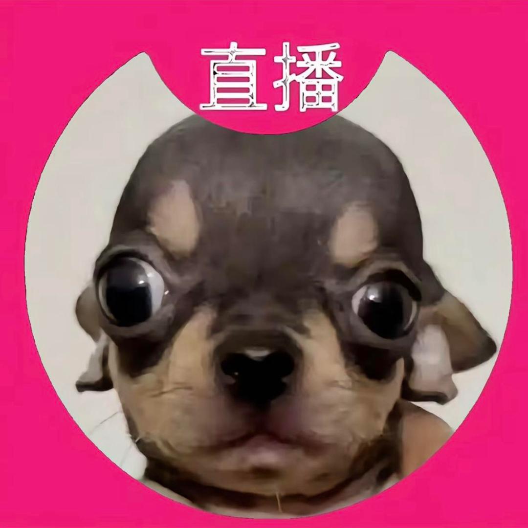 极品🐷弟