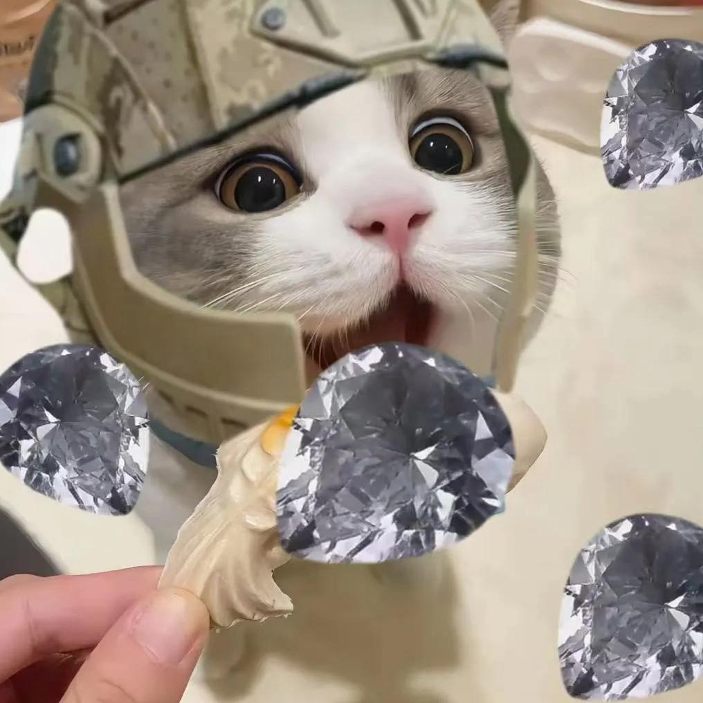 只爱哈夫币（三角洲手游纯绿跑刀）