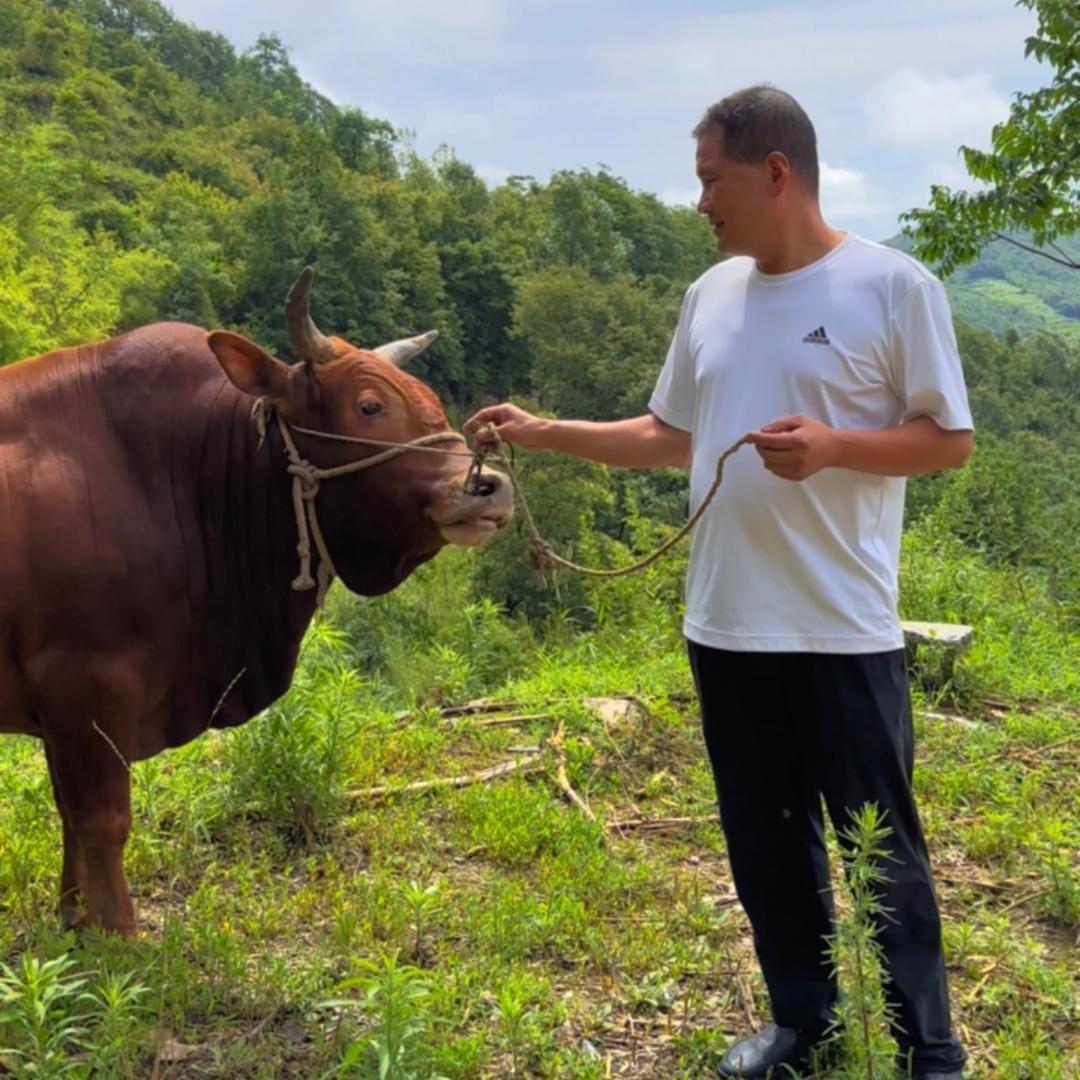 观音牛羊肉老胡