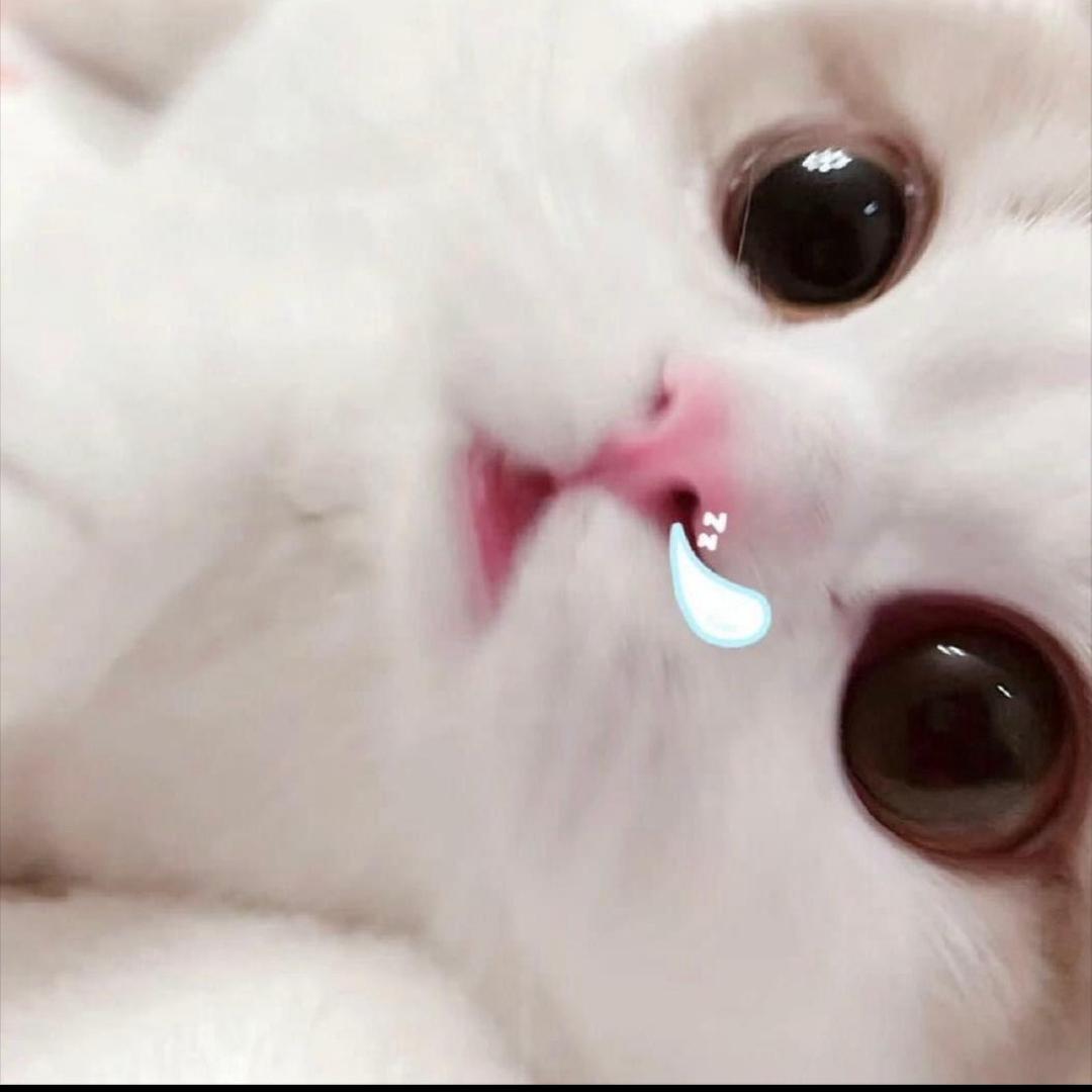 12^