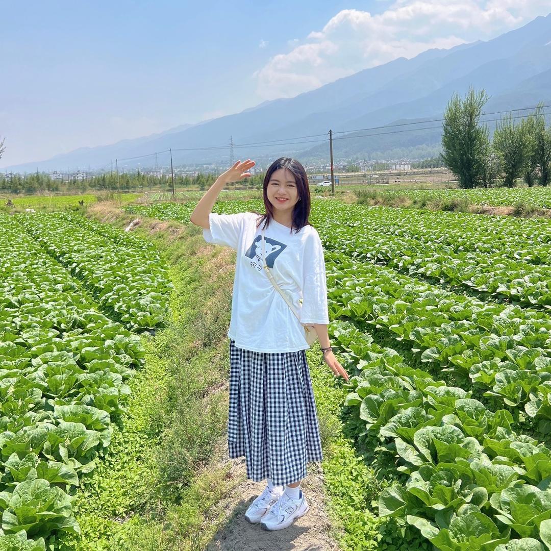 小牛乱撞