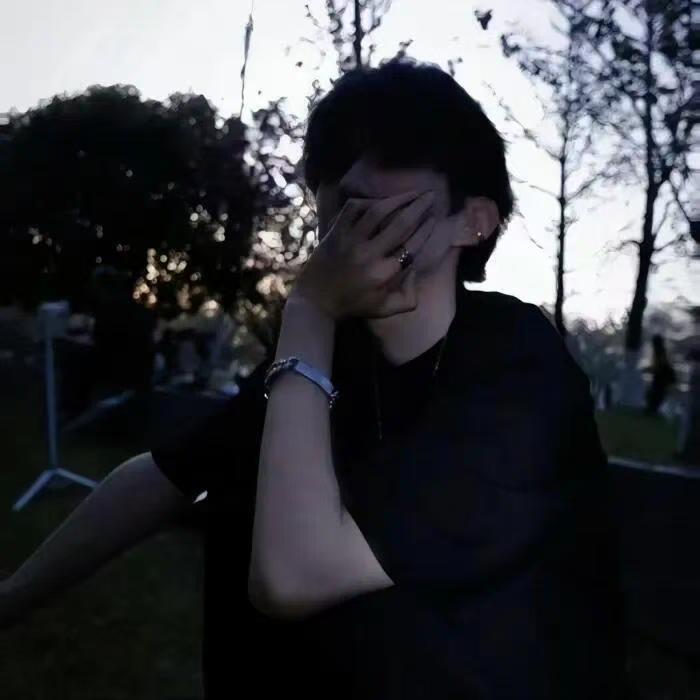 鲨鱼啥啥