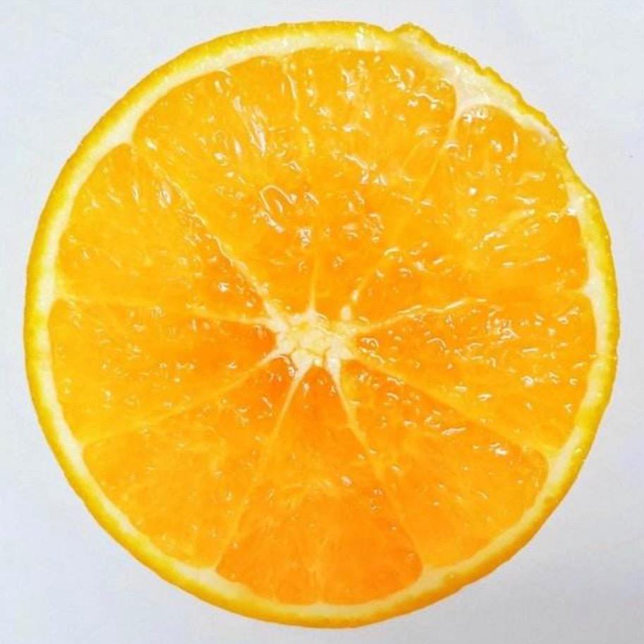 橙子老师