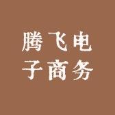 腾飞电子商务