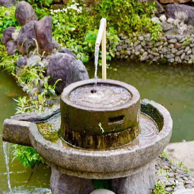 囯中月