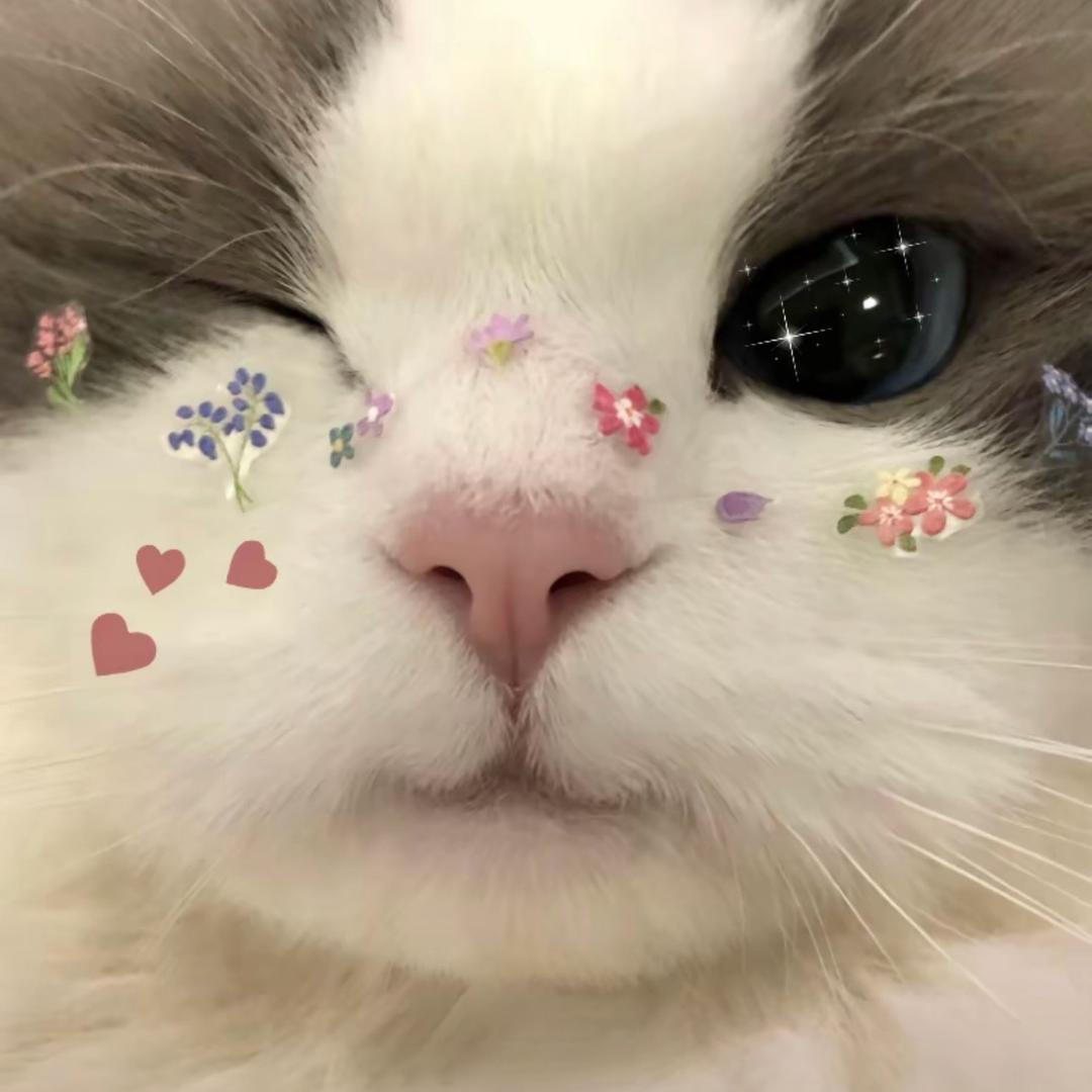 卖沙糖桔的大学生