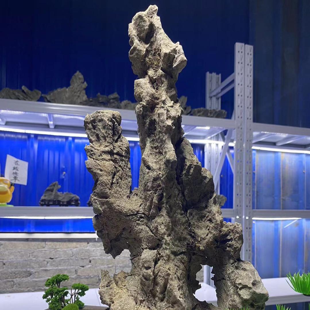 青龙石顺景园艺英德经营部