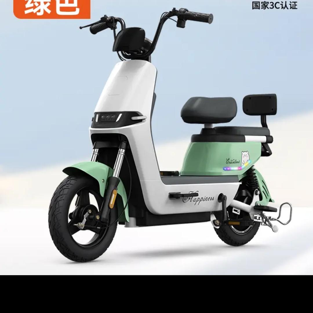 豪骑鸟品力电动车专卖店