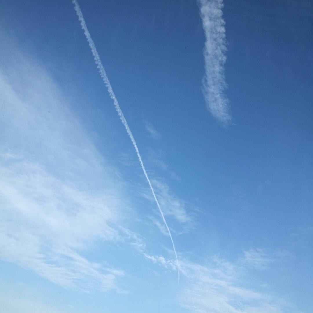 zz773139806