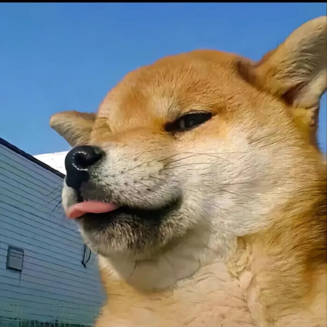 真系靓仔