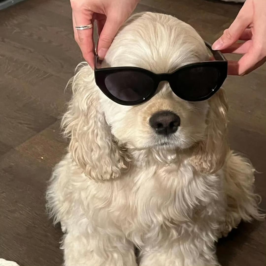 不爱说话的小郑.