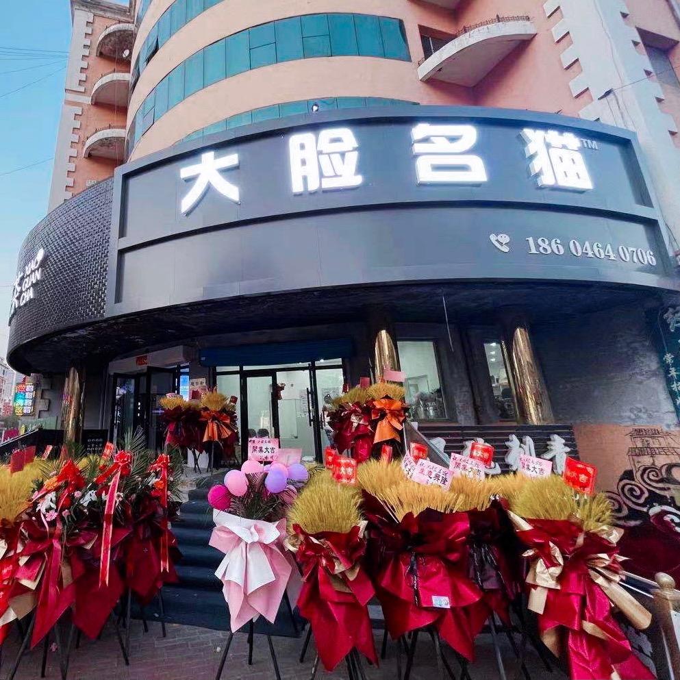 七台河市桃山区大脸名喵宠物店
