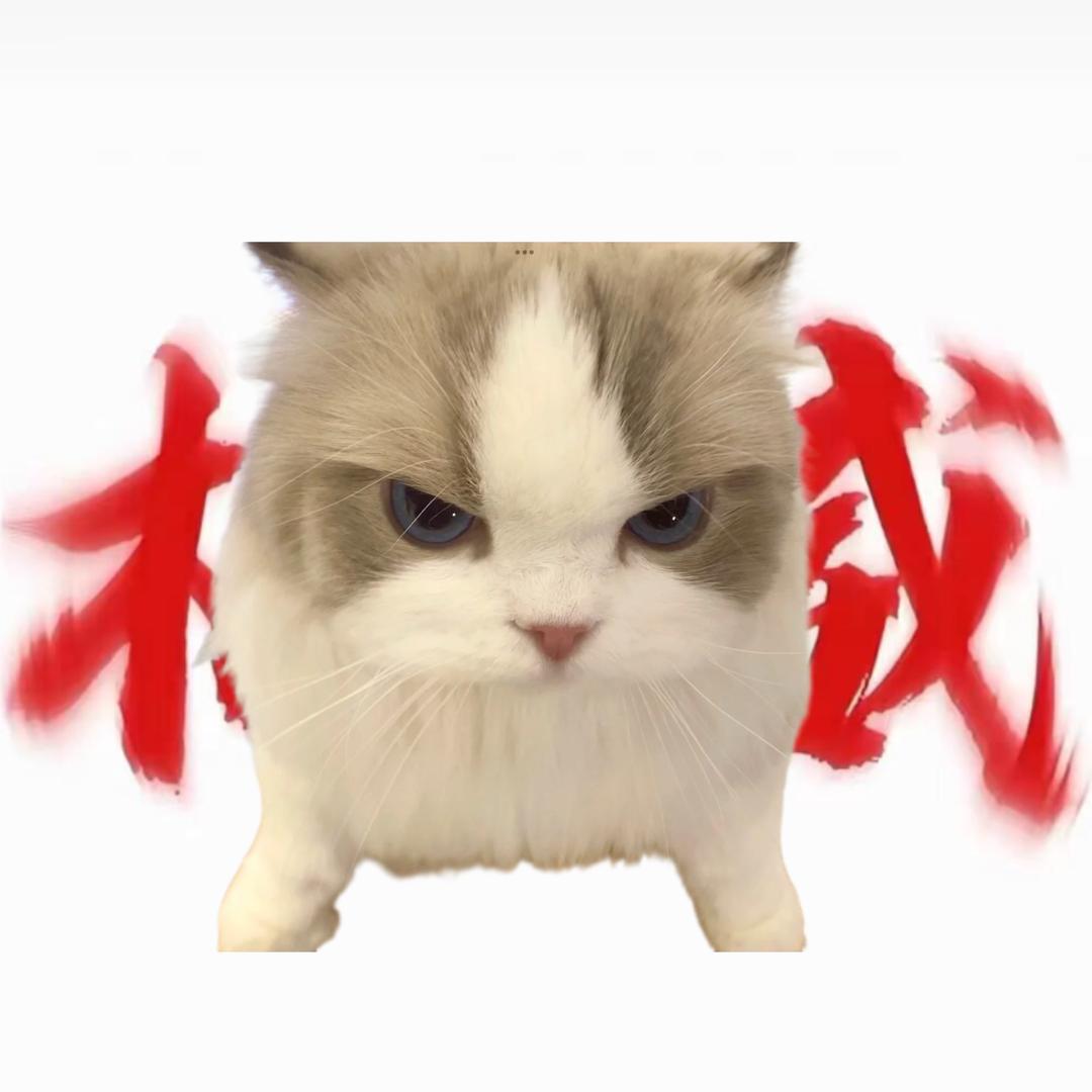 Zy