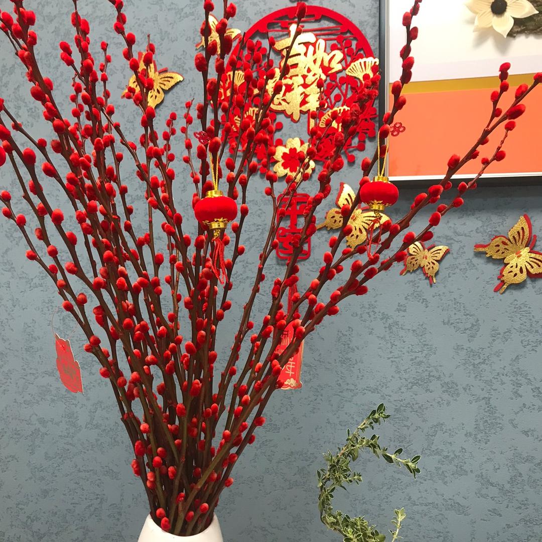 思思的小花园