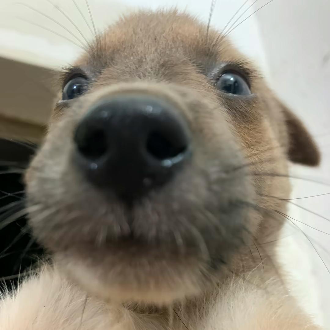 不觉