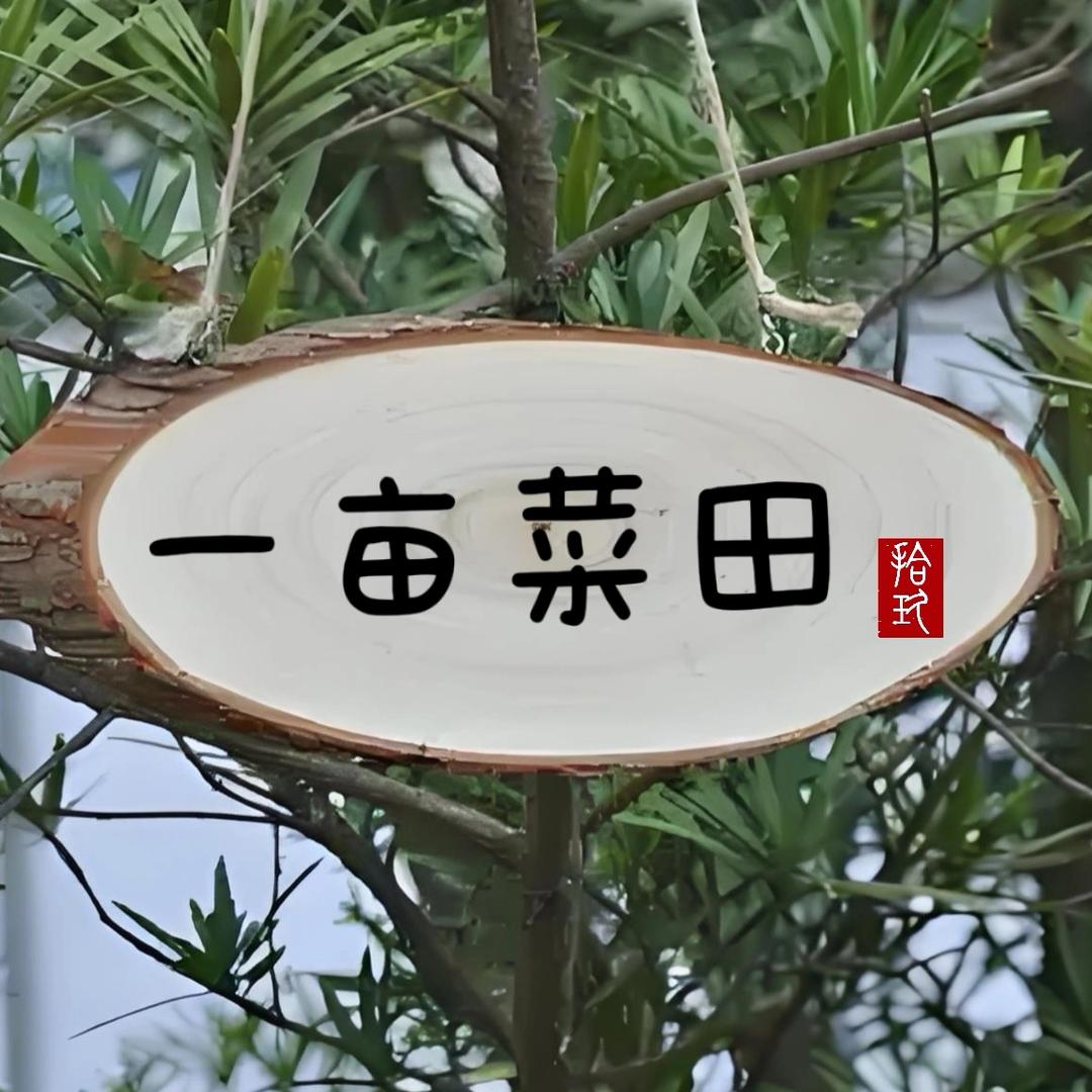 小秦的一亩菜田