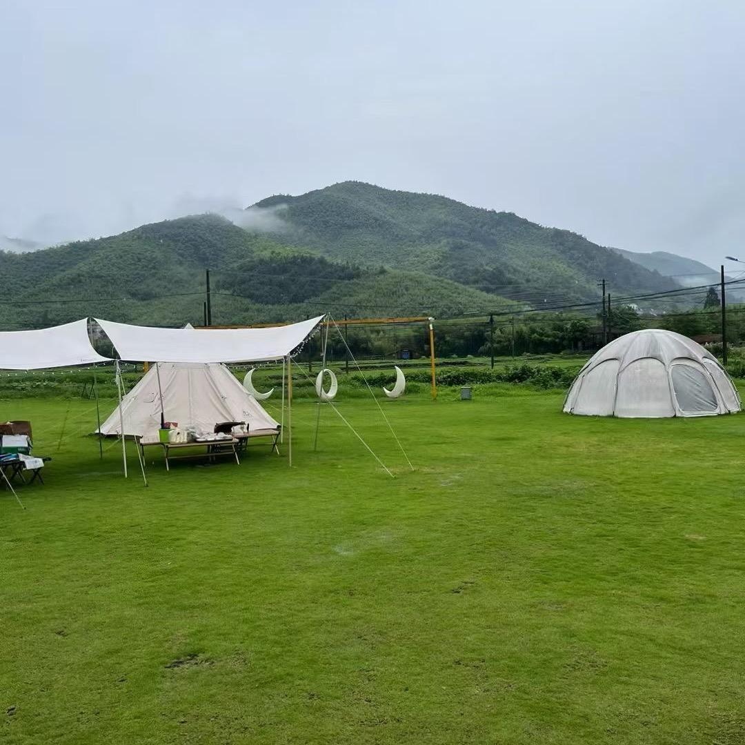 览风迪直播001593号