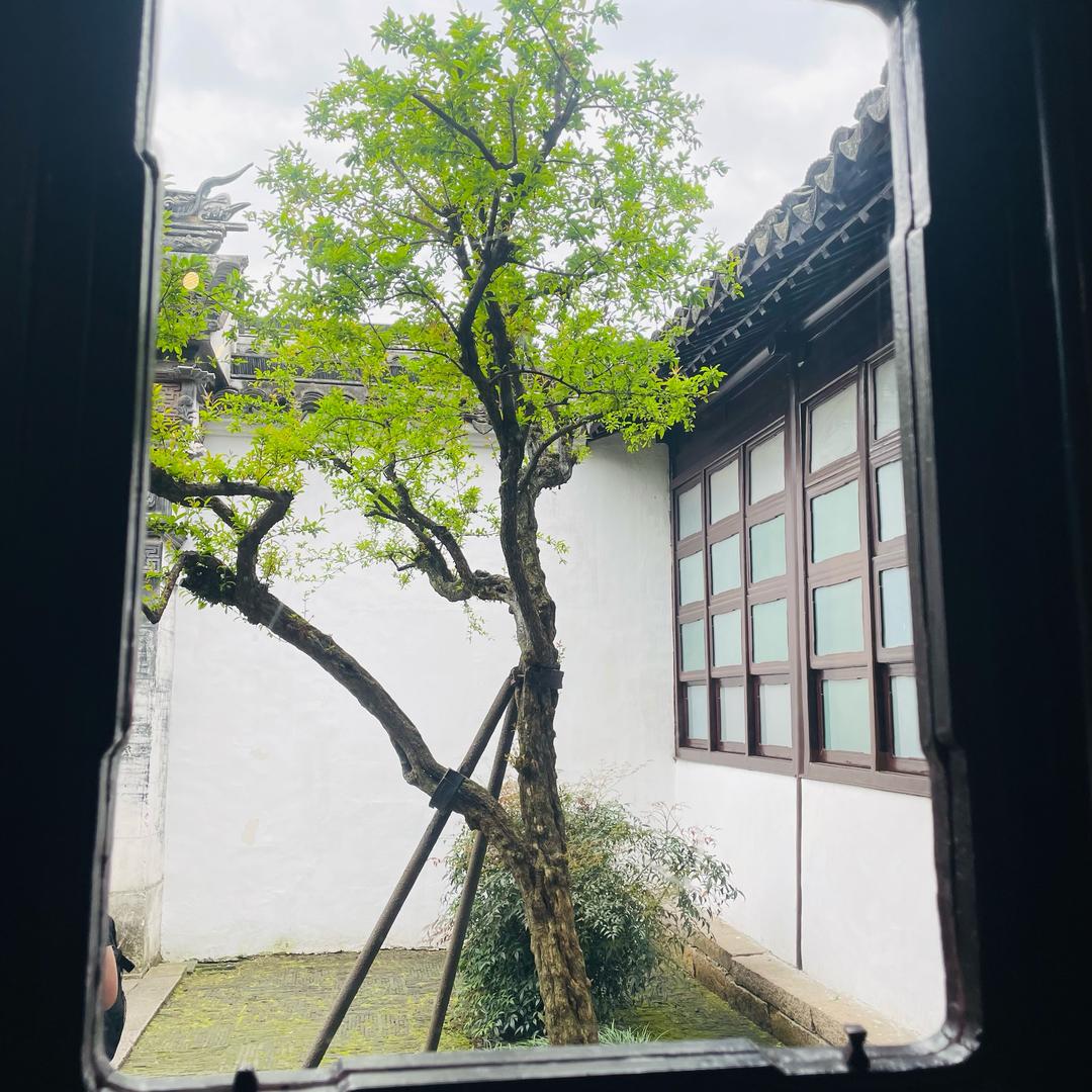 鱼台温时选物外贸瓷器陈太