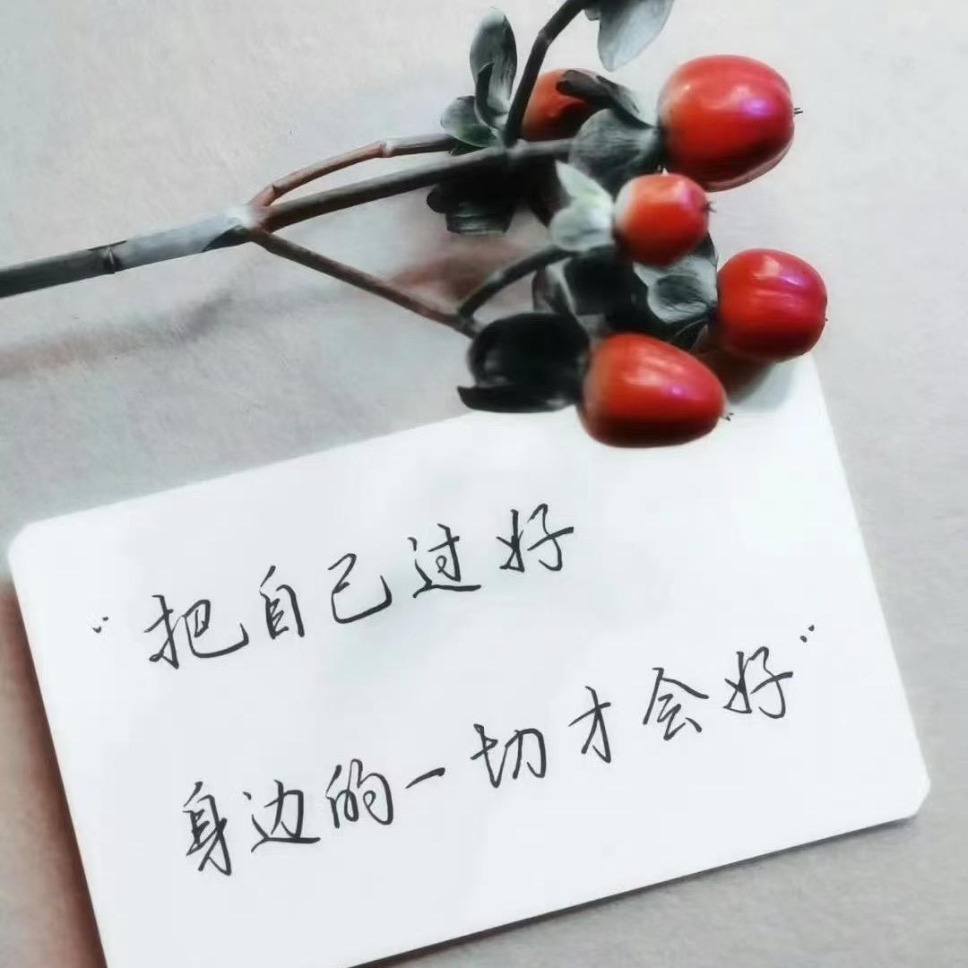 婷宝宝
