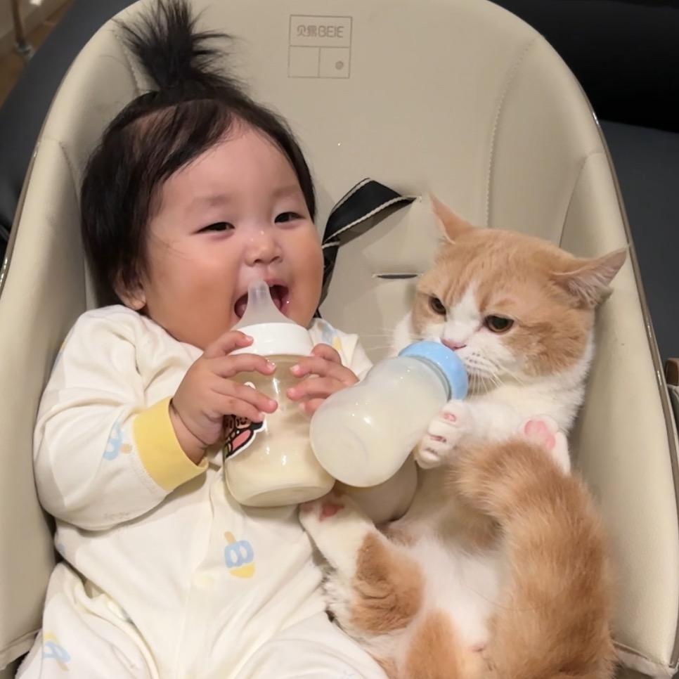 甘蔗与马达