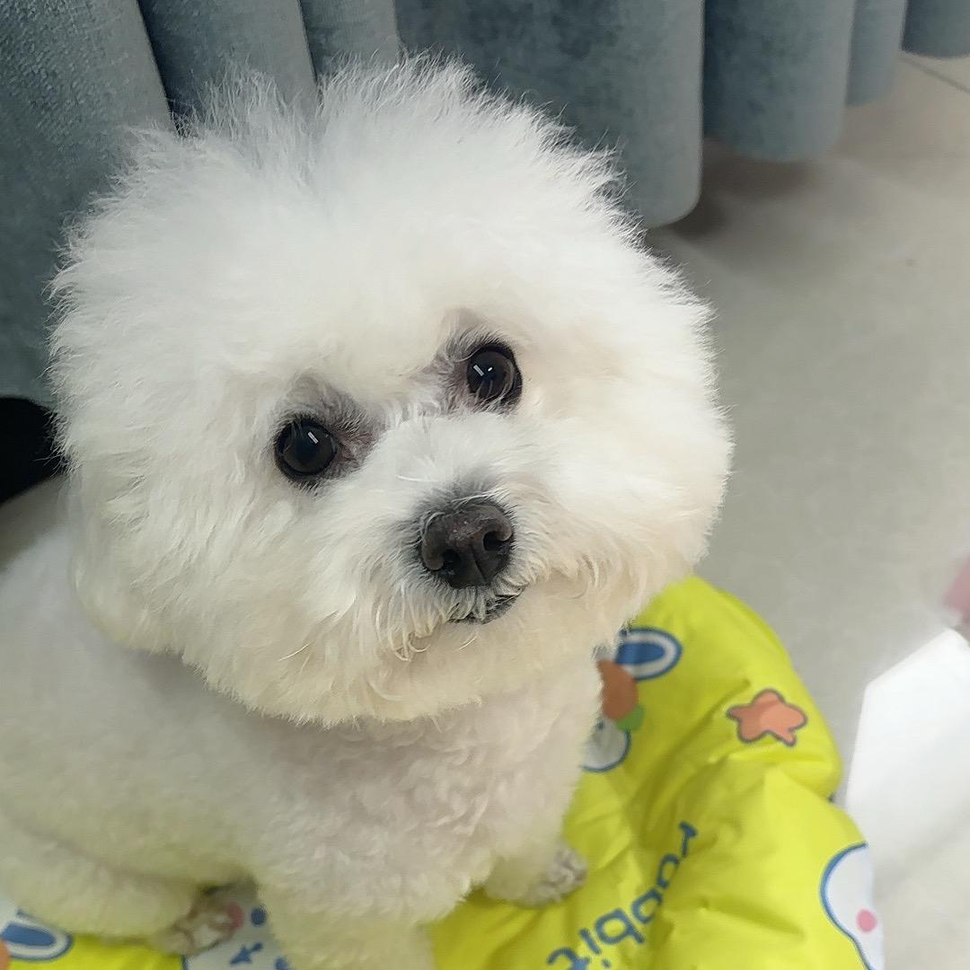 🍡团子优选