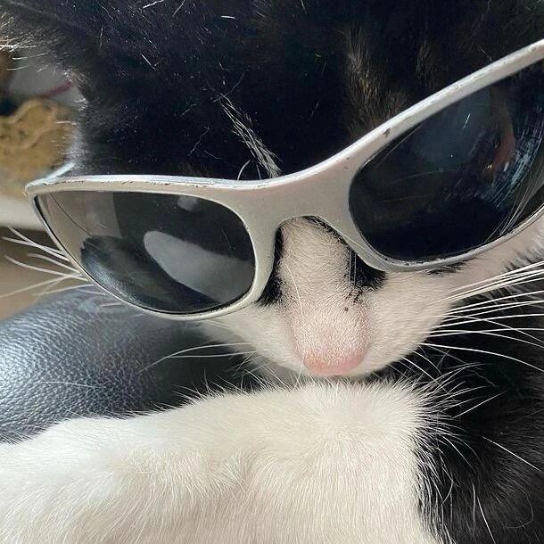 Zyyy.
