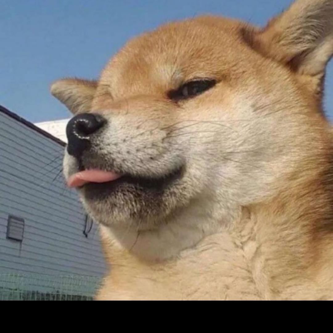 一个不务正业的货车司机